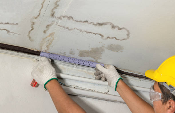 Reliable Water Damage Repair contractor in Bailey, TX by Aqua Guard Water Damage